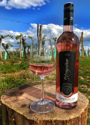 Fľaša vína Zweigeltrebe rosé 2019, pozdný sber (polosladké)