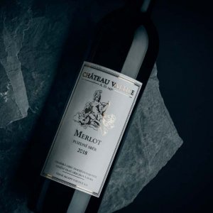 Fľaša vína Merlot 2018, pozdný sber (suché)