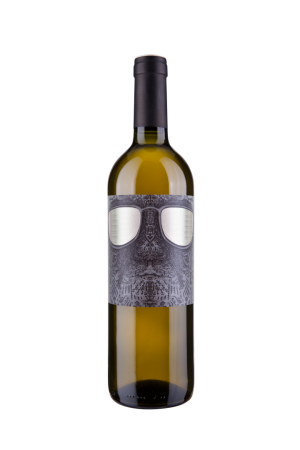 Fľaša vína Chardonnay (ORGANIC) 2018, zemské víno (suché)
