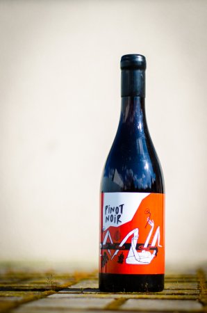 Fľaša vína Pinot Noir 2017, zemské víno
