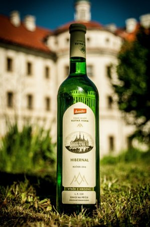 Fľaša vína Hibernal 2016, výber z hrozna (polosladké)