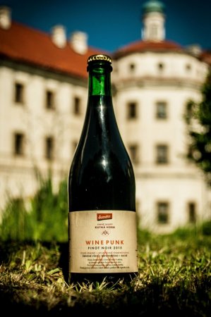 Fľaša vína Wine Punk - Pinot Noir 2015, zemské víno (suché)