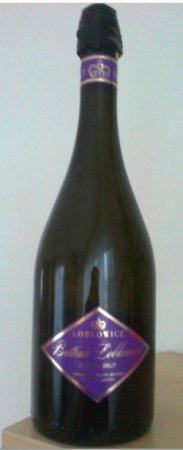 Fľaša vína Sekt Bettina Lobkowicz - burgundské cuvée brut 2011, šumivé víno stanovenej oblasti (sekt. s.o.) (brut)