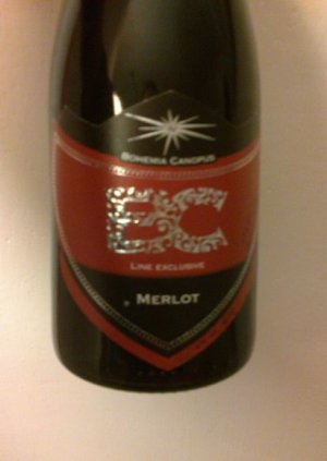 Fľaša vína Merlot 2009, výber z hrozna (suché)