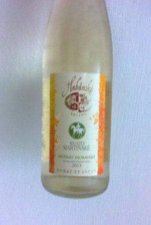 Fľaša vína Muškát moravský (Svatomartinské) 2013, zemské víno (suché)