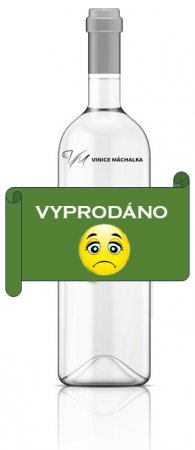 Fľaša vína Rulandské modré 2009, zemské víno (suché)