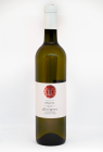Sauvignon 2024, pozdný sber Sauvignon 2024, pozdný sber