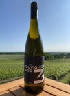 Souvignier gris 2024, české zemské víno Souvignier gris 2024, české zemské víno