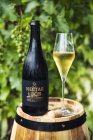 Nectar Sekt 2021, české zemské víno - perlivé Nectar Sekt 2021, české zemské víno - perlivé