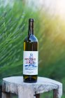 Chardonnay 2024, české zemské víno Chardonnay 2024, české zemské víno