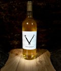 Wine Symphony 2023, moravské zemské víno Wine Symphony 2023, moravské zemské víno