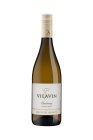 Chardonnay 2024, pozdný sber Chardonnay 2024, pozdný sber