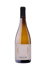 Chardonnay 2021, pozdný sber Chardonnay 2021, pozdný sber