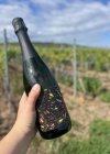 PLAYFUL baraque sekt 2020, šumivé víno PLAYFUL baraque sekt 2020, šumivé víno