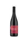 Cabernet Moravia 2023, moravské zemské víno Cabernet Moravia 2023, moravské zemské víno