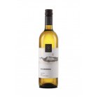 Auxerrois 2022, pozdný sber Auxerrois 2022, pozdný sber