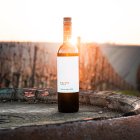 Cabernet Blanc 2023, pozdný sber Cabernet Blanc 2023, pozdný sber
