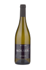 Sauvignon 2024, pozdný sber Sauvignon 2024, pozdný sber