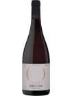 Pinot noir 2022, pozdný sber Pinot noir 2022, pozdný sber