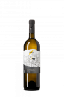 Veltlínské zelené Terroir 2023, výber z hrozna Veltlínské zelené Terroir 2023, výber z hrozna