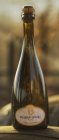 Ryzlink rýnský Blanc de blancs, akostné šumivé víno Ryzlink rýnský Blanc de blancs, akostné šumivé víno