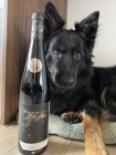 Svatovavřinecké 2016, pozdný sber Svatovavřinecké 2016, pozdný sber