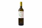 Sauvignon 2023, moravské zemské víno Sauvignon 2023, moravské zemské víno