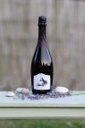SEKT Blanc de Noirs 2023, šumivé víno SEKT Blanc de Noirs 2023, šumivé víno