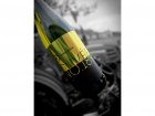 Cuvée No.1895 2023, zemské víno Cuvée No.1895 2023, zemské víno