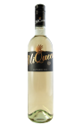 Sauvignon 2023, výber z hrozna Sauvignon 2023, výber z hrozna
