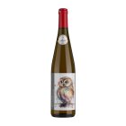 Pinot gris ORANGE 2022, zemské víno Pinot gris ORANGE 2022, zemské víno