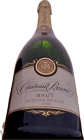 Chateau Bzenec brut 2018, šumivé víno stanovenej oblasti (sekt. s.o.) Chateau Bzenec brut 2018, šumivé víno stanovenej oblasti (sekt. s.o.)