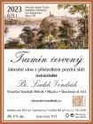 Tramín červený 2023, pozdný sber Tramín červený 2023, pozdný sber