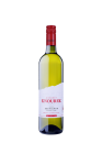 Sauvignon 2023, pozdný sber Sauvignon 2023, pozdný sber