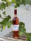 Cabernet Sauvignon Rose 2023, výber z hrozna Cabernet Sauvignon Rose 2023, výber z hrozna