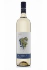 Sauvignon 2022, pozdný sber Sauvignon 2022, pozdný sber