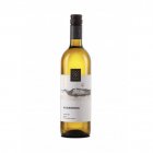 Auxerrois 2023, pozdný sber Auxerrois 2023, pozdný sber