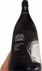 Soul Fabig Sauvignon Blanc 2020, akostné šumivé víno Soul Fabig Sauvignon Blanc 2020, akostné šumivé víno