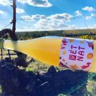 Pét-nat Sauvignon Blanc 2021, zemské víno - perlivé Pét-nat Sauvignon Blanc 2021, zemské víno - perlivé