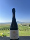 Blanc de Blancs 2020, šumivé víno stanovenej oblasti (sekt. s.o.) Blanc de Blancs 2020, šumivé víno stanovenej oblasti (sekt. s.o.)