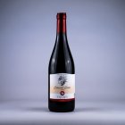 Cabernet Cortis 2023, moravské zemské víno Cabernet Cortis 2023, moravské zemské víno