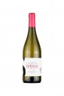 Sauvignon blanc 2022, zemské víno Sauvignon blanc 2022, zemské víno