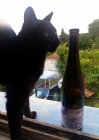 Cépage Chardonnay 2021, pozdný sber Cépage Chardonnay 2021, pozdný sber