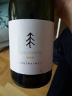 Sauvignon 2019, zemské víno Sauvignon 2019, zemské víno