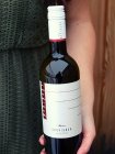 Sauvignon 2019, zemské víno Sauvignon 2019, zemské víno