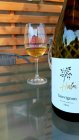 Sauvignon 2018, zemské víno Sauvignon 2018, zemské víno
