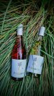 Frizzante Rosé 2020, akostné perlivé víno Frizzante Rosé 2020, akostné perlivé víno