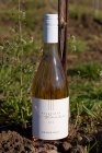 HRÁDEK ROSÉ 2020, zemské víno HRÁDEK ROSÉ 2020, zemské víno