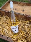 Müller Thurgau 2020, zemské víno Müller Thurgau 2020, zemské víno