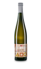 Sauvignon 2019, pozdný sber Sauvignon 2019, pozdný sber